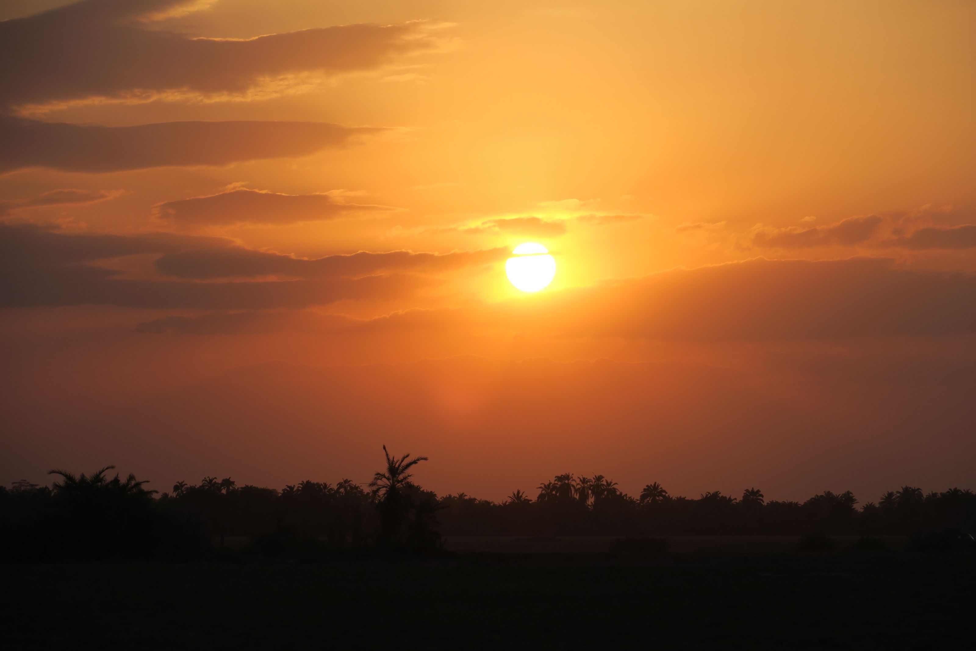 東非肯亞甜水帳篷安波西里~馬賽馬拉百萬動物王國10日(典藏版) 