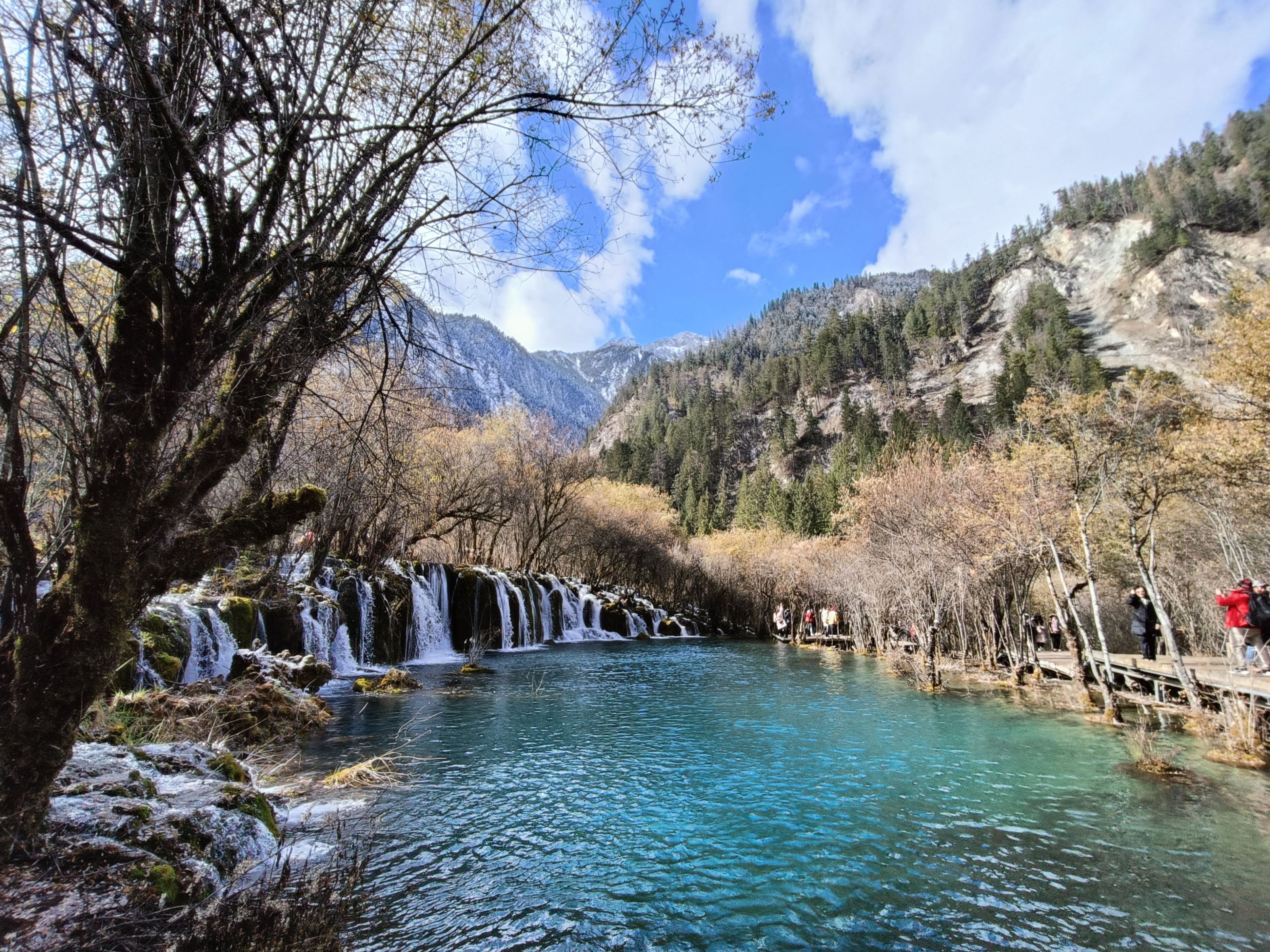 四川九寨溝8天自由行