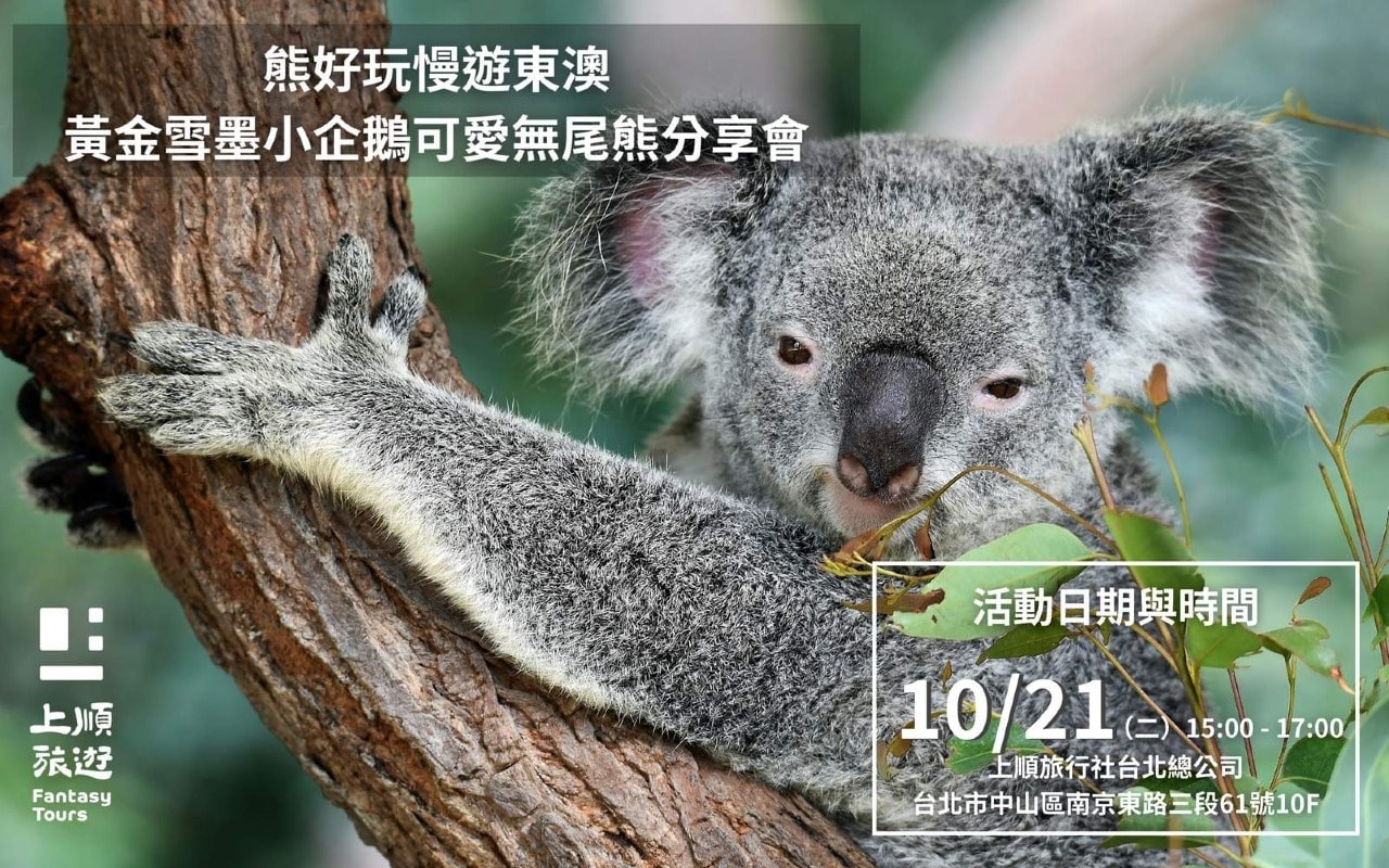 熊好玩慢遊東澳｜黃金雪墨小企鵝可愛無尾熊行程分享會1021（二）15:00-17:00 場次