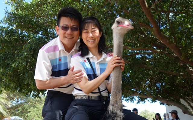 創意南非SAFARI太陽城獵豹合影黃金傳奇11日