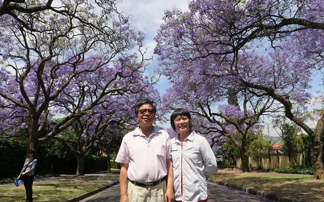創意南非花園大道SAFARI太陽城黃金傳奇13日